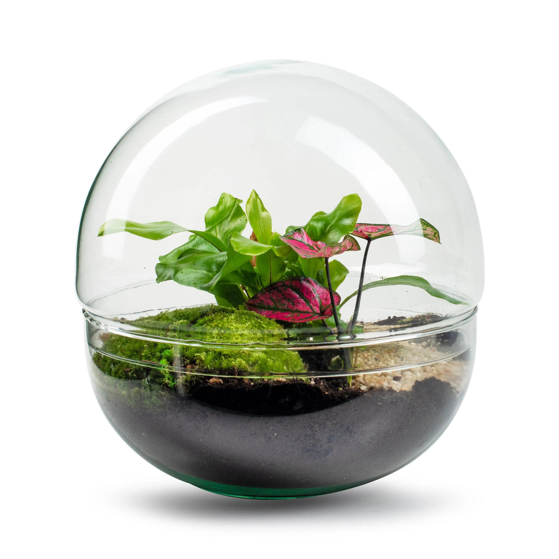De biodome
